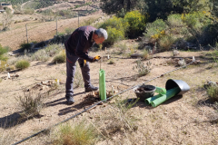 2023-03-21-ValleScout-Riego-Plantas-01