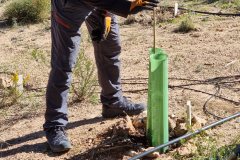 2023-03-21-ValleScout-Riego-Plantas-02