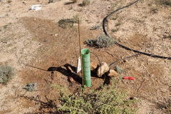 2023-03-21-ValleScout-Riego-Plantas-03