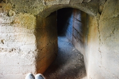 2021-10-19-Trincheras-Yedra-Fraile29