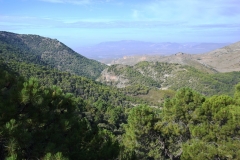 2021-10-19-Trincheras-Yedra-Fraile51