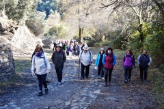 2021-11-07-Dehesa-del-Camarate001004