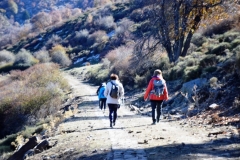 2021-11-07-Dehesa-del-Camarate001082