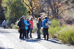 2021-11-07-Dehesa-del-Camarate001096