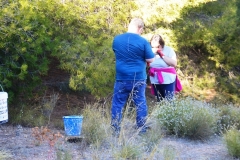 2021-12-12-Jornadas-plantacion-ValleScout-38