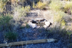 2021-12-12-Jornadas-plantacion-ValleScout-42