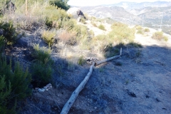2021-12-12-Jornadas-plantacion-ValleScout-43