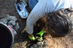 2021-12-12-Jornadas-plantacion-ValleScout-48