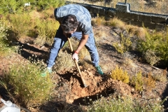 2021-12-12-Jornadas-plantacion-ValleScout-55