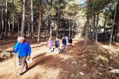 2022-01-24-Cerro-Buenavista-Trincheras-004