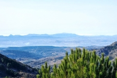 2022-01-24-Cerro-Buenavista-Trincheras-014