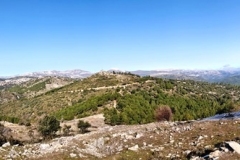 2022-01-24-Cerro-Buenavista-Trincheras-028