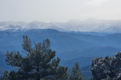 2022-01-24-Cerro-Buenavista-Trincheras-031