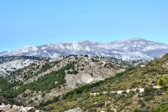 2022-01-24-Cerro-Buenavista-Trincheras-033
