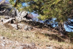 2022-01-24-Cerro-Buenavista-Trincheras-054