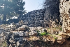 2022-01-24-Cerro-Buenavista-Trincheras-058