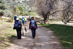 2022-01-24-Cerro-Buenavista-Trincheras-095