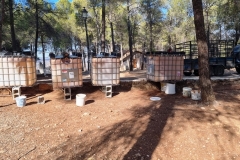 2022-01-21-Viernes-ValleScout-18