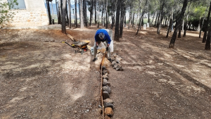 2022 10  Viernes ValleScout