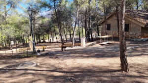 2022 08 Viernes ValleScout