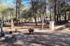2022-02-18-Viernes-ValleScout-02