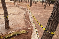 2022-04-01-Viernes-ValleScout-02