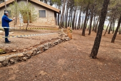 2022-04-01-Viernes-ValleScout-03