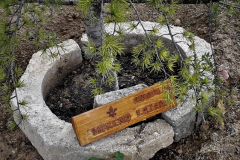 2022-04-23-San-Jorge-en-Iltiraka-05