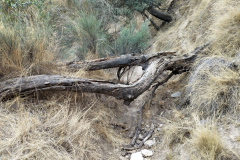 2022-10-31-Acequia-Aynadamar-Reparacion-04