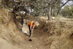2022-10-31-Acequia-Aynadamar-Reparacion-06