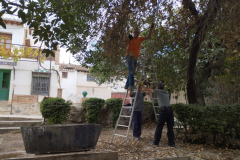 2022-11-04-Fajalauza-Trabajos-realizados-6