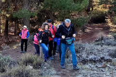 2022-11-20-Excursion-Cortijo-Linillos-02