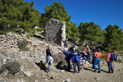 2022-11-20-Excursion-Cortijo-Linillos-07
