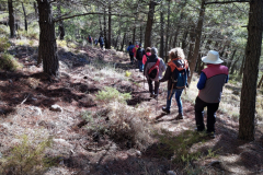 2022-11-20-Excursion-Cortijo-Linillos-08
