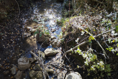 2022-11-20-Excursion-Cortijo-Linillos-09