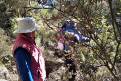 2022-11-20-Excursion-Cortijo-Linillos-10