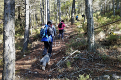 2022-11-20-Excursion-Cortijo-Linillos-11
