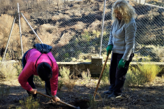 2022-12-18-ValleScout-Plantacion-arboles-05