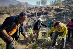 2022-12-18-ValleScout-Plantacion-arboles-07
