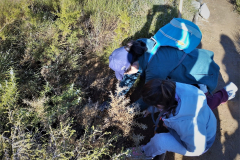 2022-12-18-ValleScout-Plantacion-arboles-09