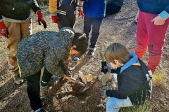 2022-12-18-ValleScout-Plantacion-arboles-12
