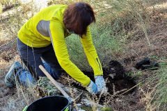 2022-12-18-ValleScout-Plantacion-arboles-14