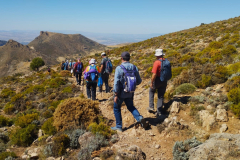 2023-09-24-Guilda-Estrella-Polar-11