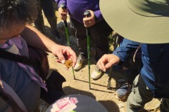 2024-04-25-Sierra-de-las-Nieves-01