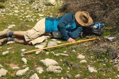 2024-04-25-Sierra-de-las-Nieves-04