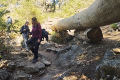 2024-04-25-Sierra-de-las-Nieves-08