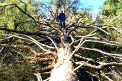 2024-04-25-Sierra-de-las-Nieves-12