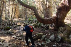 2024-04-25-Sierra-de-las-Nieves-16