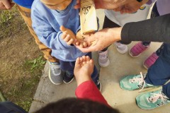 20241108_CEIP-EL-VALLE_ACCC-4
