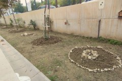 20241108_CEIP-EL-VALLE_ACCC-8